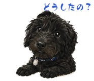851680316