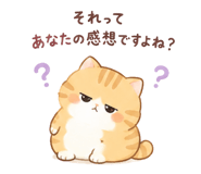 851683355