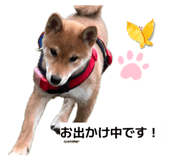 851683434