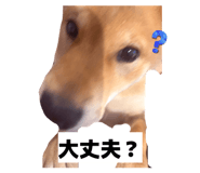 851683444