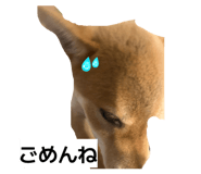 851683445