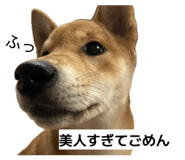 851683446