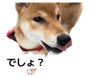 851683448