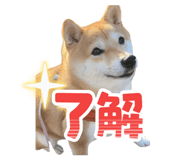 851683517