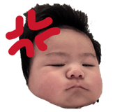 851684274