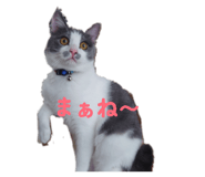851686985