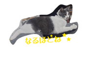851686988