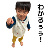 851687282