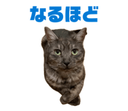 851687519