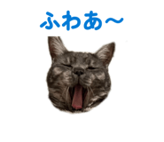 851687522