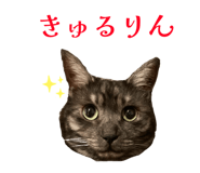 851687523