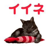 851687525