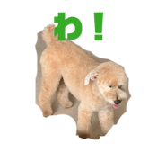 851688067