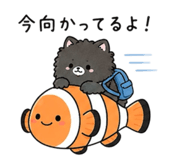 851693554