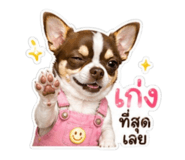851702108