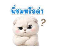 851717354