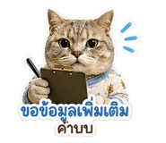 851717381