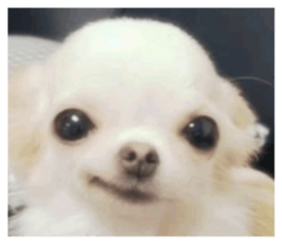 851721048