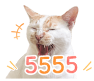 851729713