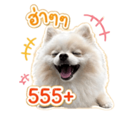 851730607