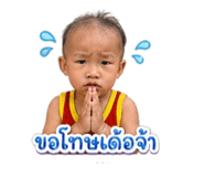 851734443