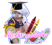 851737516