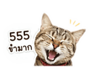 851740831