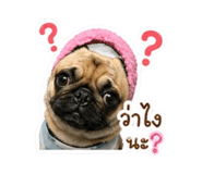 851742436