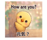 851749127