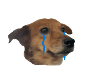 851754681