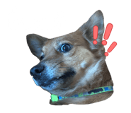 851754686