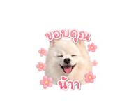 851755465