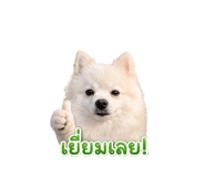 851755466