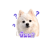 851755467