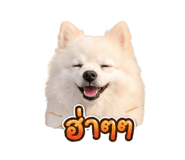 851755469