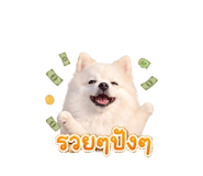 851755471