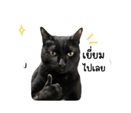 851757994