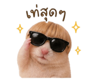 851763174