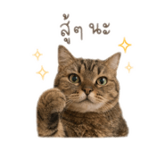 851765131