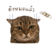 851765133