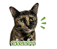 851768182