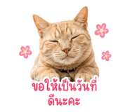 851768199