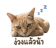 851768201