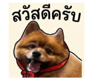 851768772