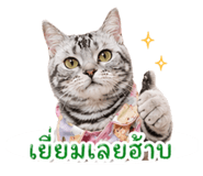 851772325