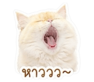 851773749