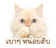851773752