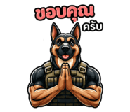 851778795