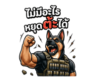 851778797