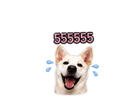 851780922